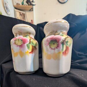 Porcelain salt and pepper shakers with hand-painted floral design
